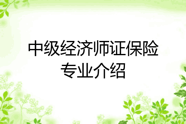 中级经济师证保险专业介绍
