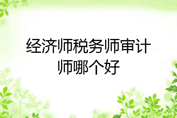 经济师税务师审计师哪个好