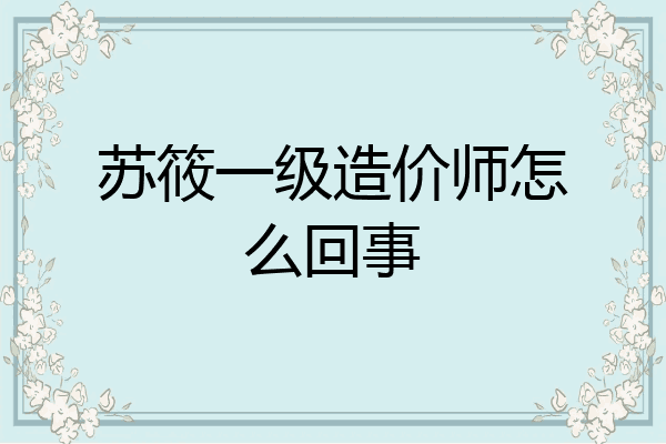 苏筱一级造价师怎么回事