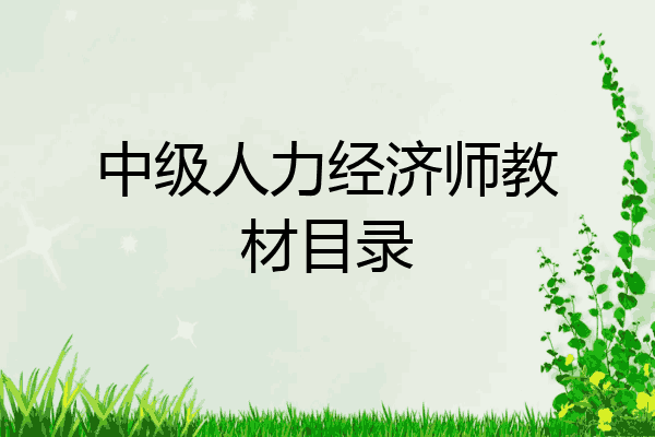中级人力经济师教材目录