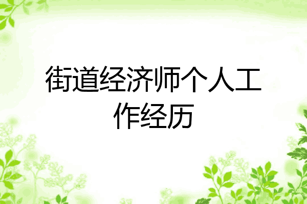 街道经济师个人工作经历