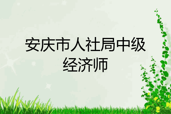 安庆市人社局中级经济师