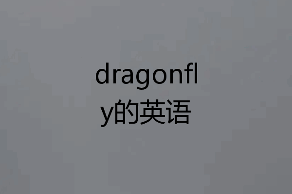 dragonfly的英语