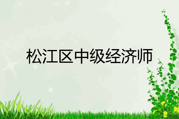 松江区中级经济师