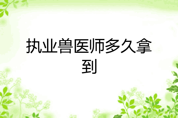 执业兽医师多久拿到