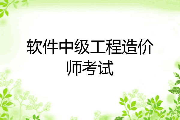 软件中级工程造价师考试