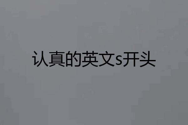 认真的英文s开头