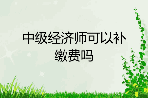 中级经济师可以补缴费吗