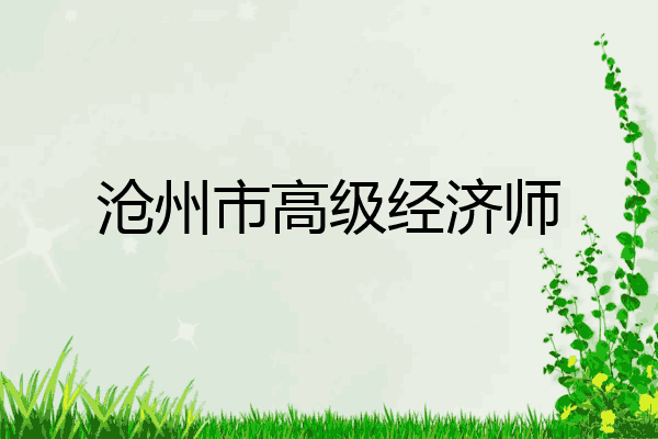 沧州市高级经济师