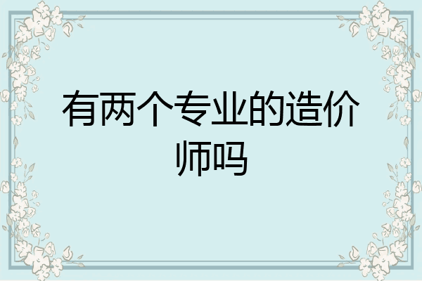 有两个专业的造价师吗