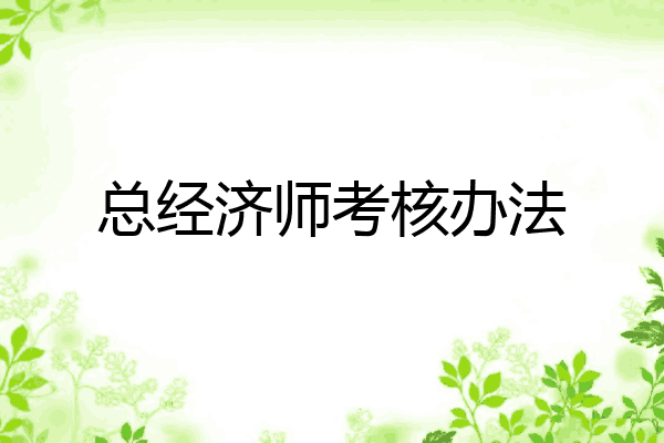 总经济师考核办法