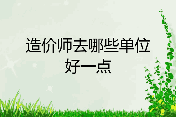 造价师去哪些单位好一点