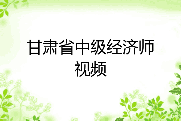 甘肃省中级经济师视频
