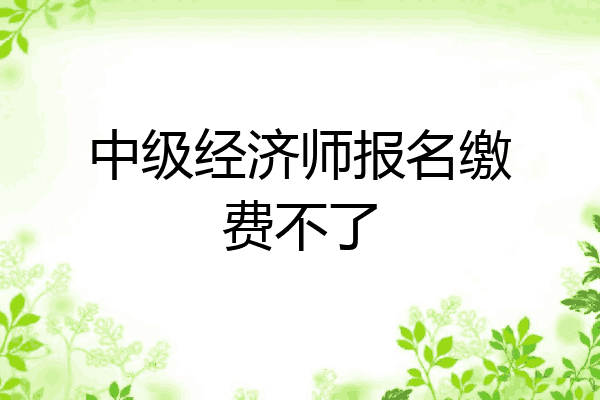 中级经济师报名缴费不了