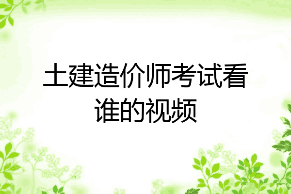 土建造价师考试看谁的视频