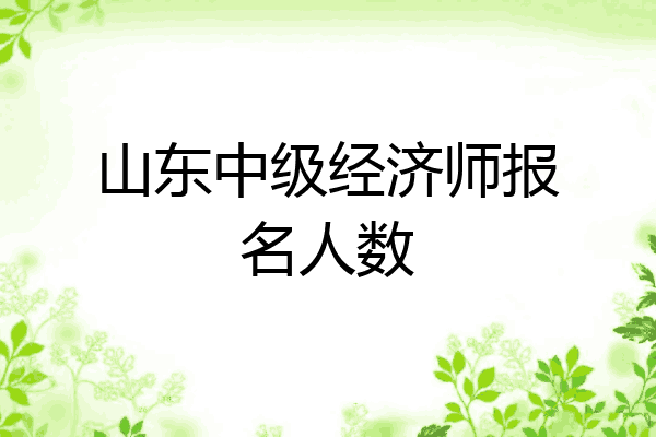 山东中级经济师报名人数