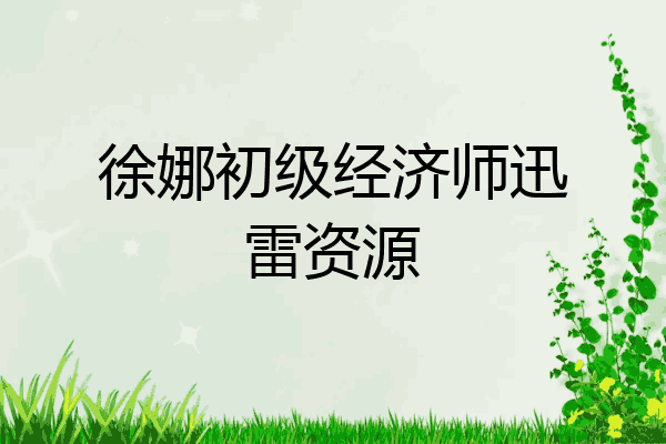 徐娜初级经济师迅雷资源