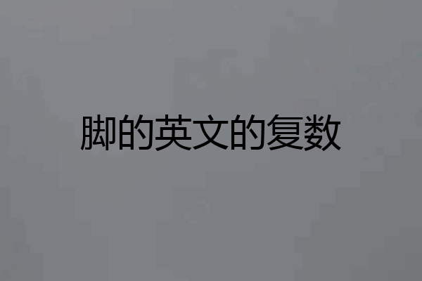 脚的英文的复数
