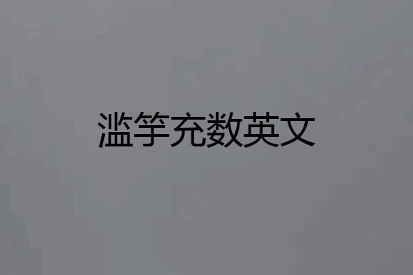 滥竽充数英文