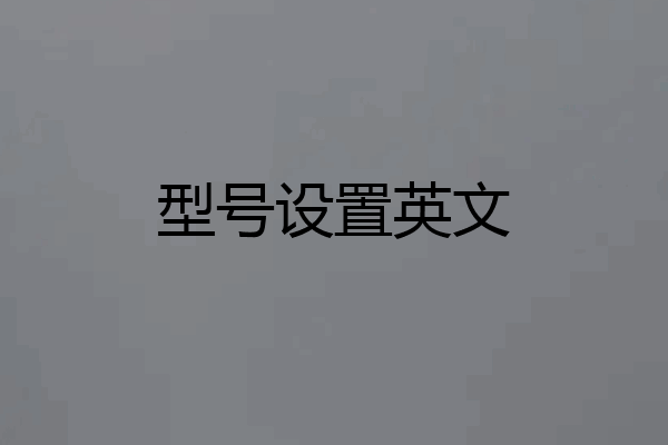 型号设置英文