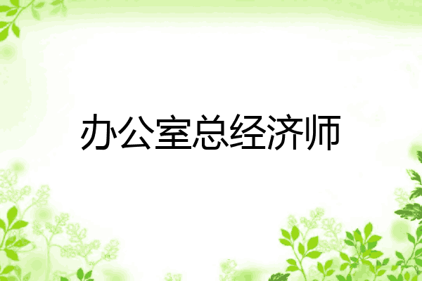 办公室总经济师