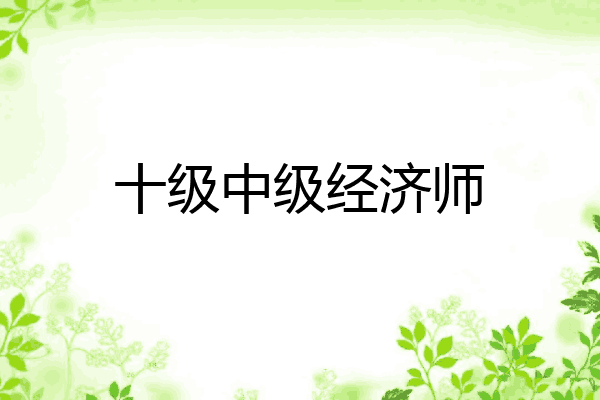 十级中级经济师