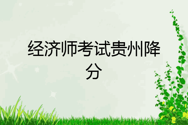 经济师考试贵州降分