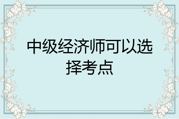 中级经济师可以选择考点