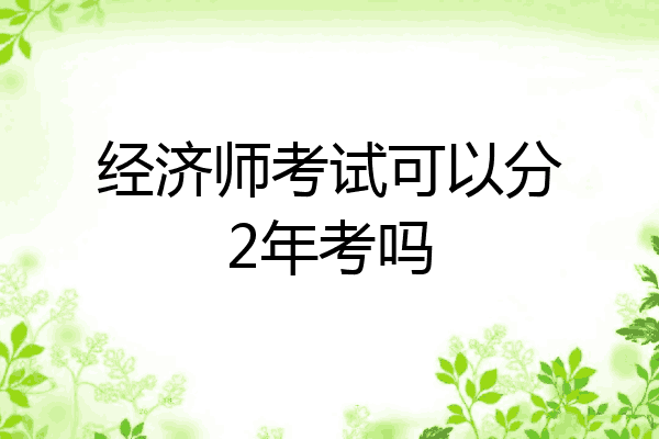 经济师考试可以分2年考吗