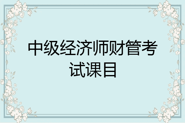 中级经济师财管考试课目