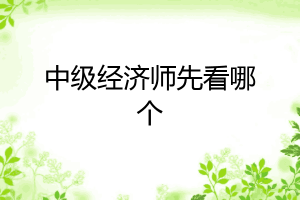 中级经济师先看哪个