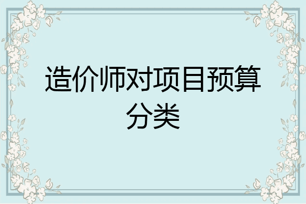 造价师对项目预算分类