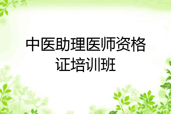 中医助理医师资格证培训班