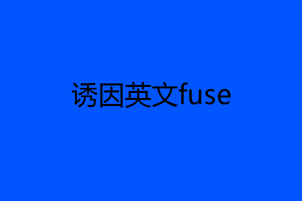 诱因英文fuse