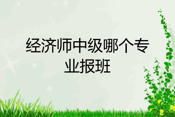 经济师中级哪个专业报班