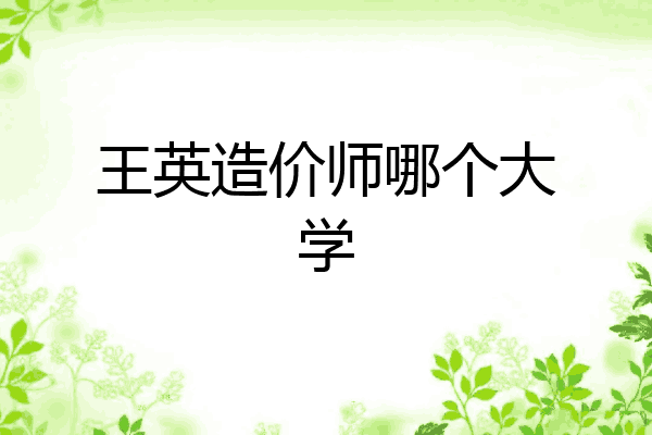 王英造价师哪个大学