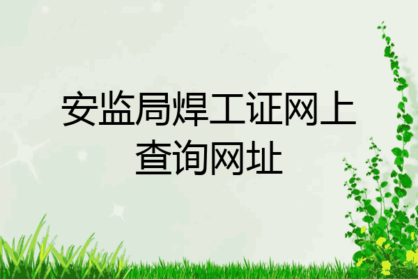 安监局焊工证网上查询网址