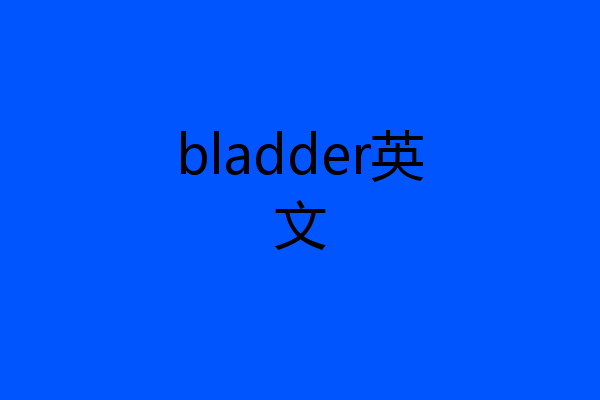 bladder英文