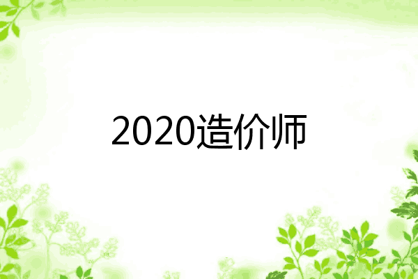 2020造价师