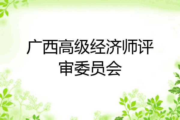 广西高级经济师评审委员会