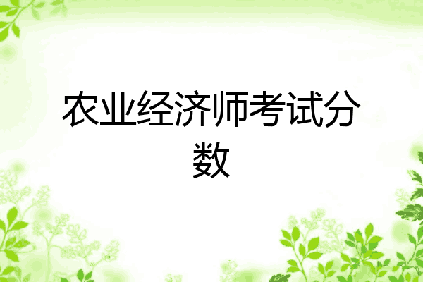 农业经济师考试分数