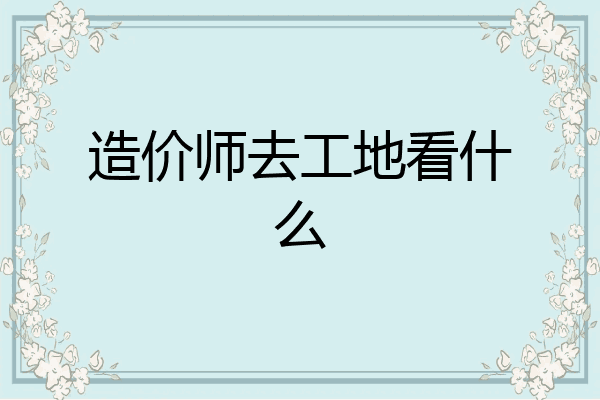 造价师去工地看什么