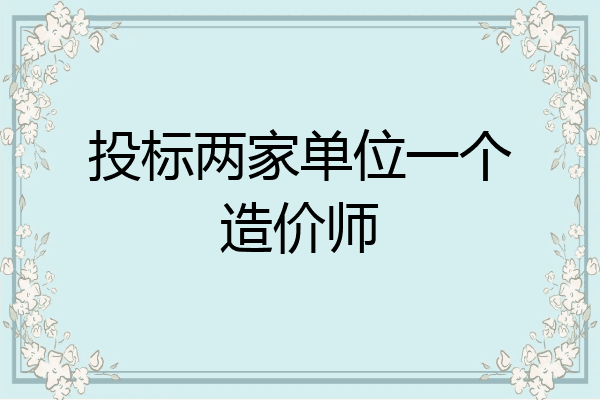 投标两家单位一个造价师