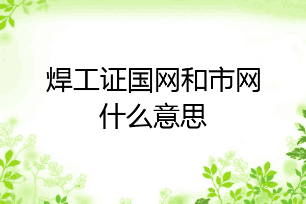 焊工证国网和市网什么意思