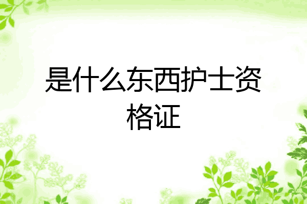 是什么东西护士资格证
