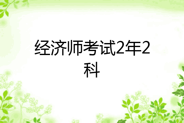 经济师考试2年2科
