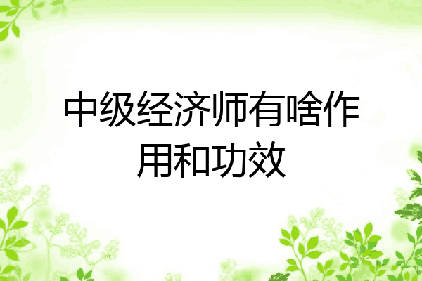中级经济师有啥作用和功效