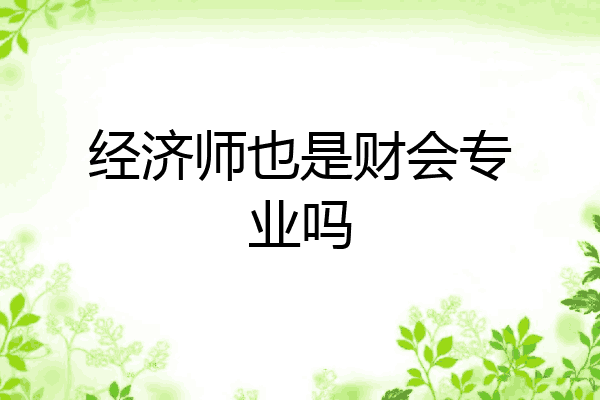 经济师也是财会专业吗