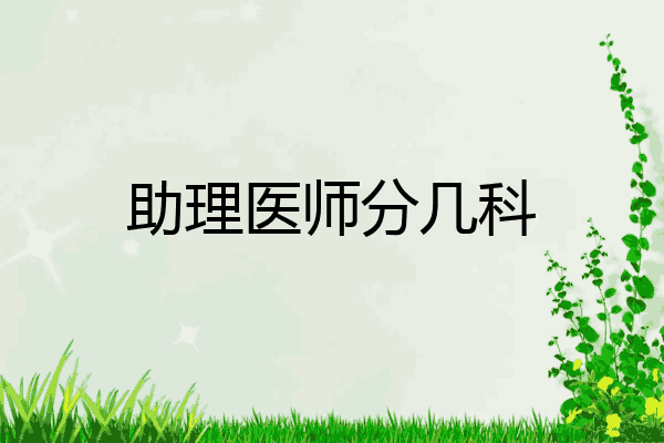 助理医师分几科