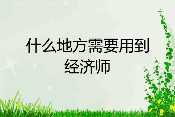 什么地方需要用到经济师